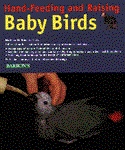 Hand Feeding & Raising Baby Birds